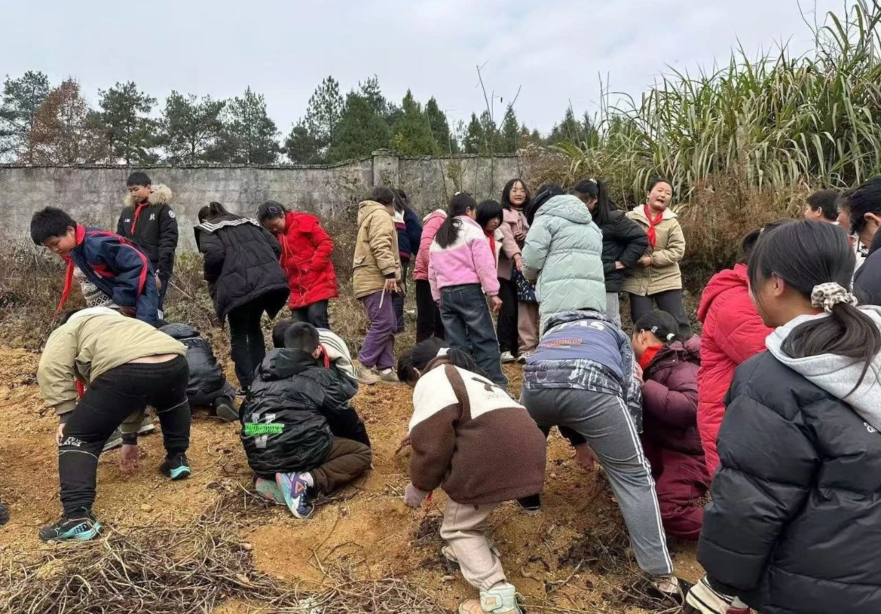 苦竹坪小学：耕耘青春 收获成长